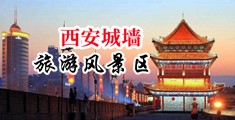 视h骚妇玩弄中国陕西-西安城墙旅游风景区